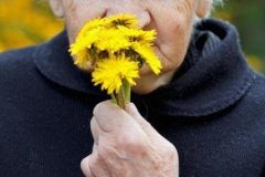 進(jìn)行性癡呆是怎么回事_進(jìn)行性癡呆的病因、預(yù)防